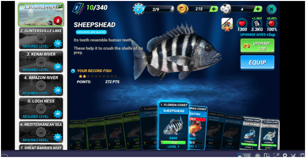Fishing Clash Tips and Tricks: Become The Master Fisher